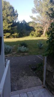 Green Garden - 6