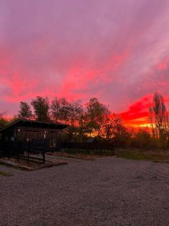 Tiny House 3 En el río - 5
