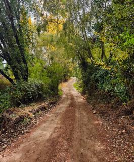 Tiny House 3 En el río - 4