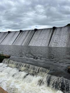 Dolce Far Niente - Plátano - 2