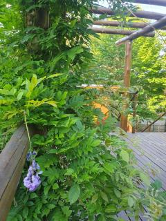 Dolce Far Niente - Alecrim - 1