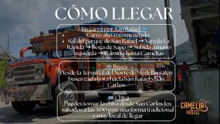 Camelia Hostel - 4
