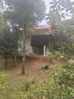Six Pillars Resort Jungle Lodge 2 - 0