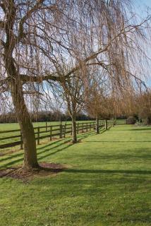 Kilkenny Luxury Stay - 6