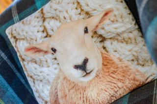 3 Bed in Dolgellau oc-wah605 - 6