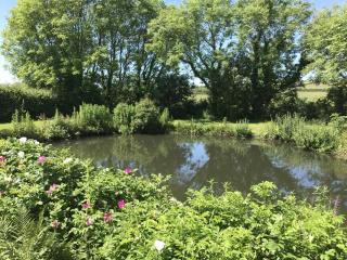 1 Bed in Little Haven oc-wav323 - 6