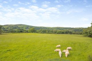 3 Bed in Bala oc-waf247 - 5