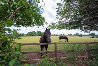 1 Bed in Frettenham oc-1193 - 1