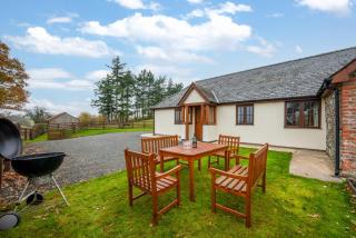 2 Bed in Y Drenewydd oc-waa402 - 0