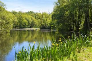 3 Bed in Two Waters Foot oc-r27336 - 9