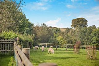 2 Bed in Hanley William oc-d30115 - 7