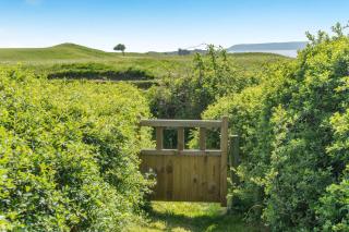 1 Bed in Parkmill oc-h32080 - Parkmill - 8