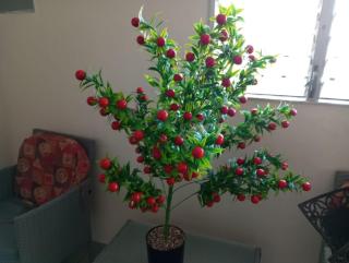 Hostal Flores - 3
