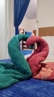 Pousada Espaço Cosmos - 6