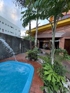 Palmeira imperial 2 - 1