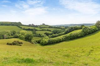 2 Bed in Stoke Abbott oc-r31870 - 9