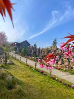 Đà Lạt Thiên Vương Homestay - 3