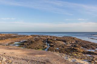 2 Bed in Beadnell oc-f30468 - Beadnell - 5