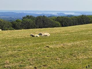 1 Bed in Creech oc-g29728 - 2