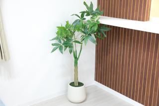 札幌市電 中島公園駅 徒歩6分 シモンズベッド ReFaアメニティ すすきのアクセス スーパー徒歩6分 - 3