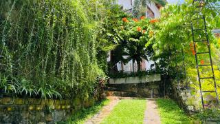 Bouganvilla House - 9