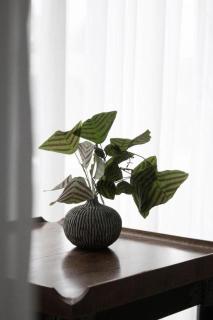 Rangsiya Boutique Hotel - 1