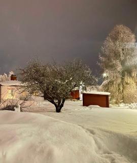 Bubo mysigt litet hus i Noret - 9