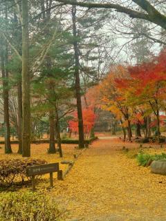 Hotel Jeonggwanru - 7