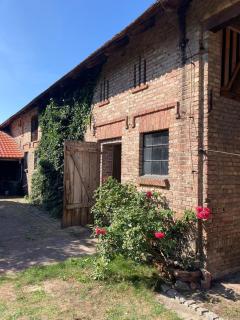 Ferienhaus Im Spreewald - 4