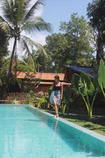 The Elephant Next-Door - 7