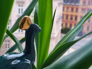 The Peacocks' Castle 5 min to center - 0