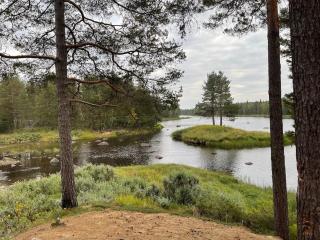 Villa Björksele - 3