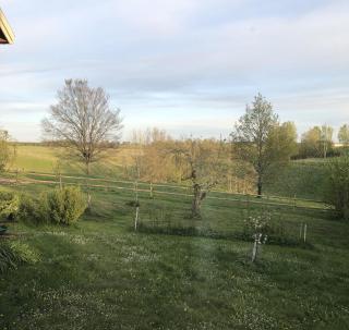 Charming and spacious villa near Lidköping - 5