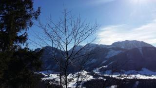 Ferienwohnung beim Schnellerbauer - 3