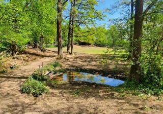 Pferdeparadies Untergrünhagen - 1