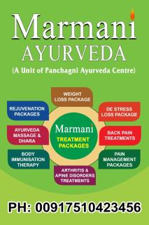 EVA AYURVEDIC beach hotel - 9