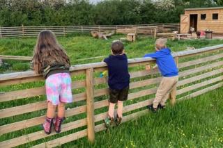 Beech Pod Cabin in beautiful surroundings Wrexham - 6