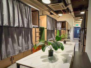 City Backpackers - Hostel and Private Rooms - 7