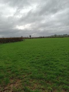 Hook Lighthouse Cottage - 9