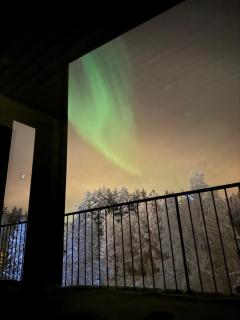 Metsonlinna 206, Levi - 6