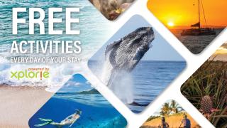 Papakea K306 · PK K306 Remodeled Condo Ocean Views Heated Pools - Kahana - 5