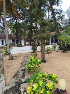 saha surf camp & surf lesson, yoga included - 8