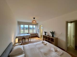 Cozy Studio in Witikon District - 5