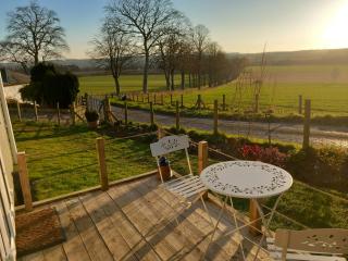 The Mad Hatter's Shepherd's Hut - Carlisle - 9