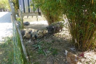 Chez Rosette, 2 chambres - 1