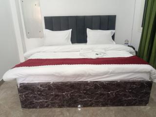 Hotel Kanha palace - 1