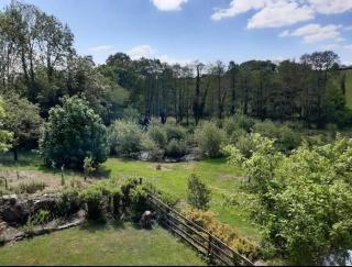 Cottage - Sleeps 2 - River Lynher walks & fishing - 3