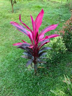 VR Nature Cottage CABANA - 8