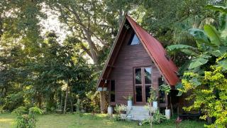 VR Nature Cottage CABANA - 9