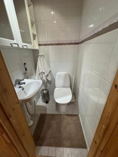 Porotila Toini Sanila - 8